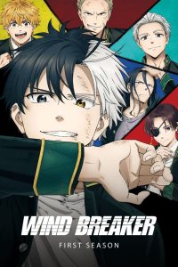 Wind Breaker (2024) Season 1 [Episode 12 Added !] Multi-Audio {Hindi-English}720p |