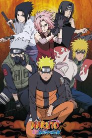 Naruto Shippuden (2024) Season 1-10 Dual/Multi Audio [Hindi ORG, Jap & ENG] WEB-DL 720p HEVC | [Epi 1-220 Added]