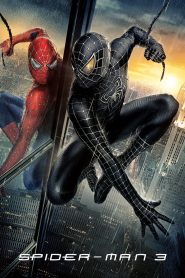 Spider-Man 3 (2007) Dual Audio [Hindi- English] Movie Full HD WEB-BL 420p ,720p & 1080p