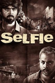 Selfie (2022) Dual Audio [Hindi ORG. + Tamil] Full Movie WEB-DL 720p | 1080p