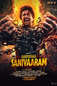 Saripodhaa Sanivaaram (2024) [Hindi ORG. + Multi Audio] Full Movie WEB-DL | 720p | 1080p