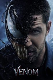 Venom (2018) Dual Audio [Hindi ORG & ENG] WEB-BL 720p, 1080p