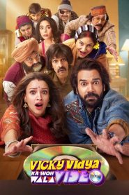 Vicky Vidya Ka Woh Wala Video (2024) Hindi DD5.1 Netflix WEB-DL 480p, 720p & 1080p Full Movie