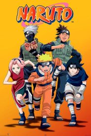 Naruto Season 8-9 Multi Audio [Hindi] 720p HD | 10bit HEVC ESub (Sony Yay Dub)