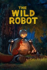 The Wild Robot (2024) WEB-DL Dual Audio [Hindi (Cleaned) + English] Full Movie 480p | 720p | 1080p