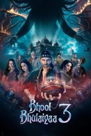 Bhool Bhulaiyaa 3 (2024) Hindi Full Movie WEB-DL 480p, 720p & 1080p