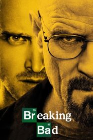 Breaking Bad : Season 1-5 Dual Audio [Hindi ORG & ENG] BluRay 480p, 720p & 1080p | [Complete]