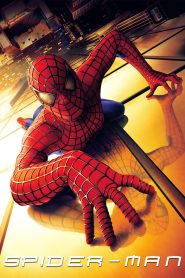 Spider-Man (2002) Dual Audio [Hindi – English] 720p & 1080p WEB-BL