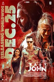 Baby John (2024) Hindi (ORG-DD2.0) Full Movie WEB-DL 480p, 720p & 1080p