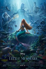 The Little Mermaid (2023) BluRay Dual Audio {Hindi ORG 5.1 – English} 480p, 720p & 1080