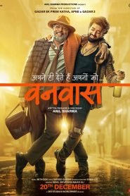 Vanvaas (2024) Hindi Full Movie WEB-DL 480p, 720p & 1080p