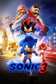 Sonic the Hedgehog 3 (2024) WEB-DL Dual Audio [Hindi ORG. + English] Full Movie 480p, 720p & 1080p